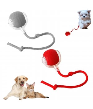 New Automatic Jump Rolling Ball For Dog Smart Dog Toy Ball Electronic Interactive Cat Toy