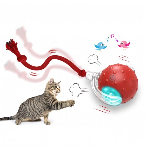 Including All of the best-selling Interactive Cat Toy USB Rechargeable Fast Rolling Perfect for Carpets Including All of the best-selling Interactive Cat Toy USB Rechargeable Fast Rolling Perfect for Carpets